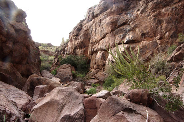 Alamo Canyon north fork