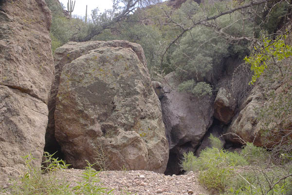 Alamo Canyon south fork