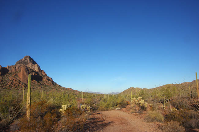 Copper Canyon view from the East