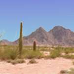 Tule Mountains